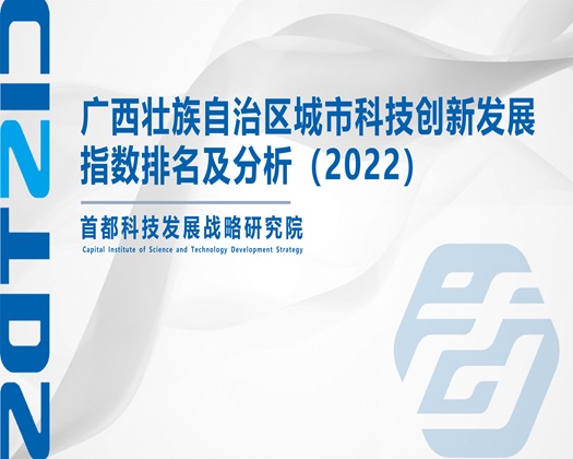 艹逼里面出水呻吟视频高潮AI明星啊啊啊骚逼操我【成果发布】广西壮族自治区城市科技创新发展指数排名及分析（2022）